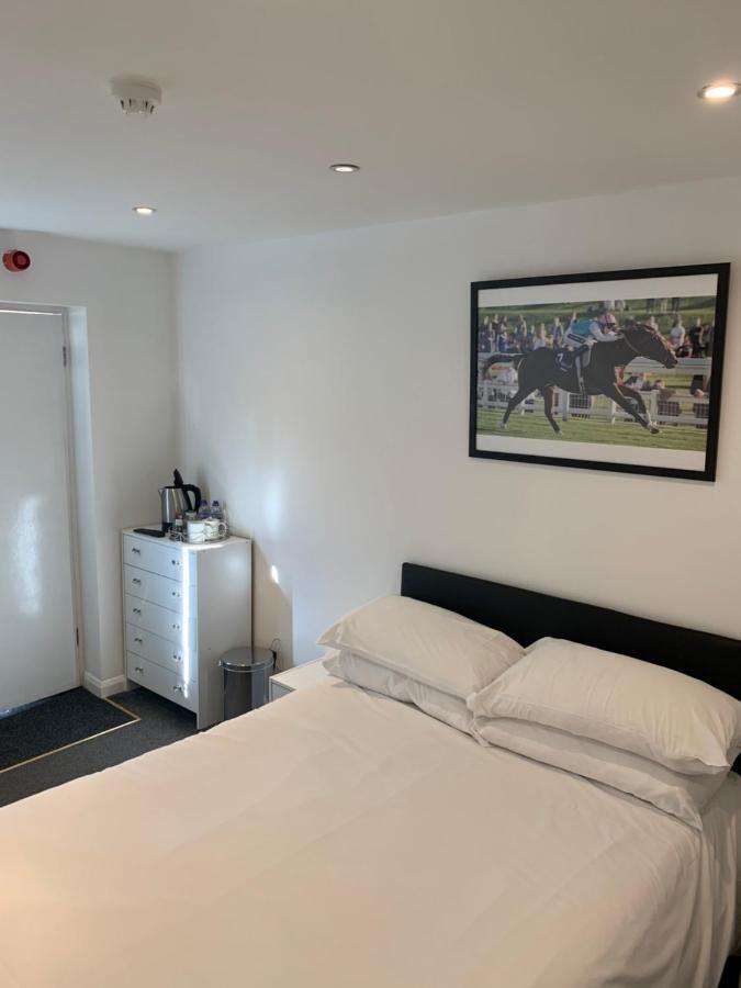 The Olive 3*